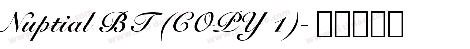 Nuptial BT (COPY 1)字体转换